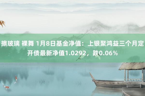 擦玻璃 裸舞 1月8日基金净值：上银聚鸿益三个月定开债最新净值1.0292，跌0.06%