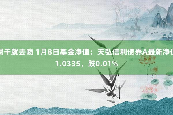 想干就去吻 1月8日基金净值：天弘信利债券A最新净值1.0335，跌0.01%