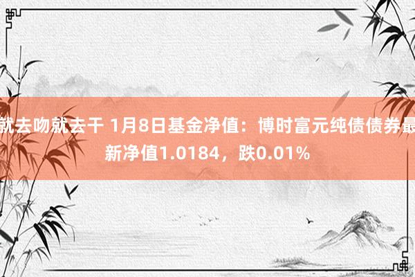 就去吻就去干 1月8日基金净值：博时富元纯债债券最新净值1.0184，跌0.01%