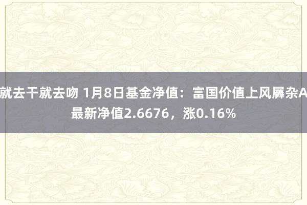 就去干就去吻 1月8日基金净值：富国价值上风羼杂A最新净值2.6676，涨0.16%