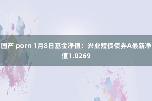 国产 porn 1月8日基金净值：兴业短债债券A最新净值1.0269