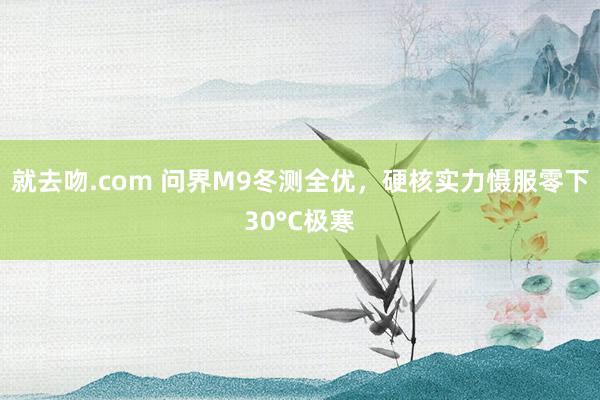 就去吻.com 问界M9冬测全优，硬核实力慑服零下30°C极寒