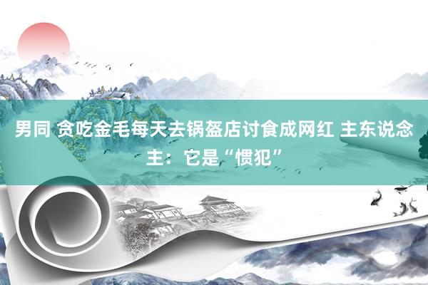 男同 贪吃金毛每天去锅盔店讨食成网红 主东说念主：它是“惯犯”