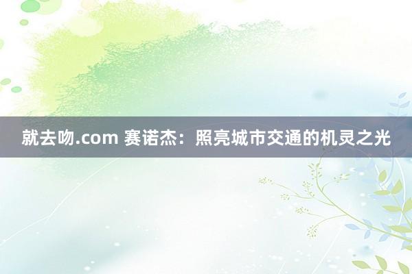 就去吻.com 赛诺杰：照亮城市交通的机灵之光