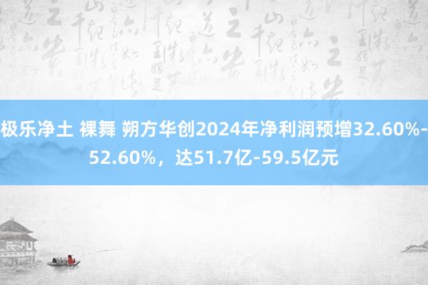 极乐净土 裸舞 朔方华创2024年净利润预增32.60%-52.60%，达51.7亿-59.5亿元