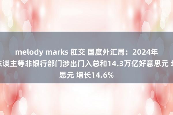 melody marks 肛交 国度外汇局：2024年企业、个东谈主等非银行部门涉出门入总和14.3万亿好意思元 增长14.6%